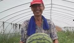 寺寺娱乐吃瓜,揭秘娱乐圈吃瓜背后的真相